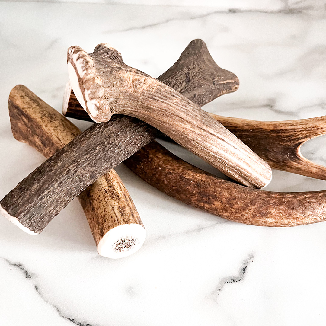 Pet Bully Sticks Natural Bully Sticks Dog Chews pet-bully-sticks-natural-bully-sticks-dog-chews